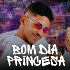 Mc Reino - Bom Dia Princesa ( DJ GTZINHO ) FUNK RJ TIKTOK, LANÇAMENTO 2024