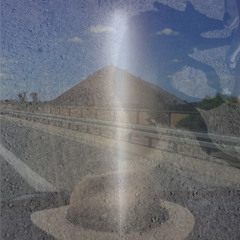 Essence 1 (cane solitario)