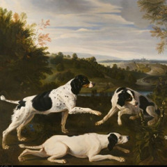 insincere sun demo.mp3