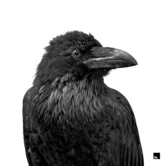 Rafael Cerato, ID ID - Orbital Decay