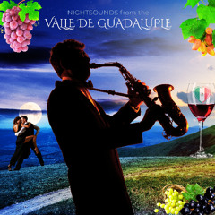 Sonidos Nocturnos Del Valle de Guadalupe