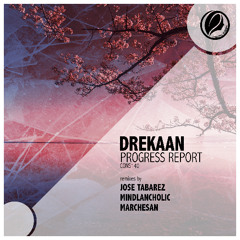 Drekaan - Progress Report (Original Mix) [Consapevole Recordings] - preview