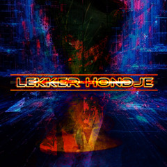 SlYder & Sergio Ochoa - Waves (Lekker Hondje Bootleg)