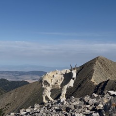 What We Choose To Save.m4a