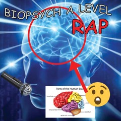 Biopsych Rap (3am revision challenge)