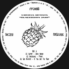 MOISSWAX005 Various Artists - Blackberry Jam (Vinyl Only)