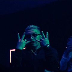 Set EL 313- Norambuena 2025