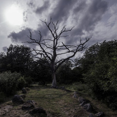 Falltree