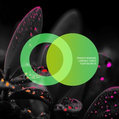 LORENZO TURCO, Franco Romano - Paradise (Original Mix)
