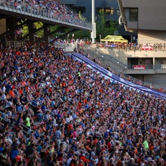 Le Chant Du Supporter