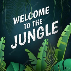 Welcome To The Jungle