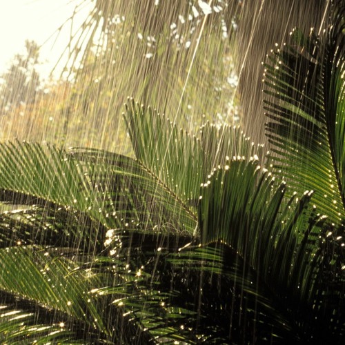 Let The Rain Pass - Moody Music