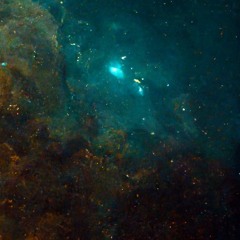 Nihaya [2009]
