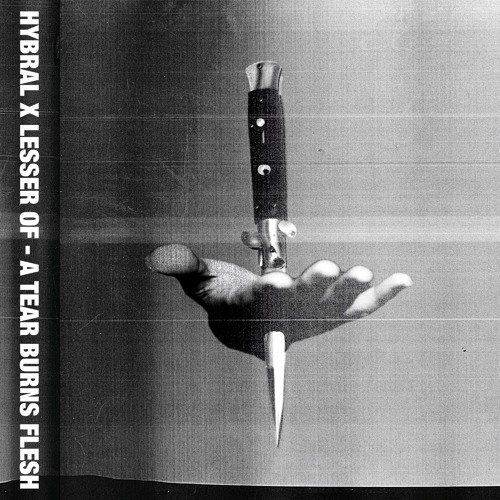 Lesser Of  - Consummation (Swarm Intelligence Remix)(Brvtalist S.R.)