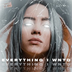 Billie Eilish - Everything I Wanted (Mendi Remix)