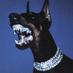QDLM