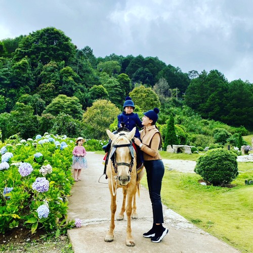 MIXSET* NACHI Nails Spa 328 kim Ngưu - Mk-HBT- HN