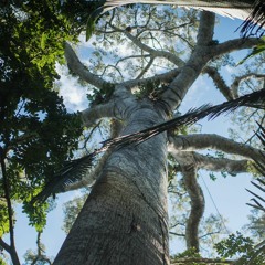 DJ-set at Kiosk Radio 14/06/2020