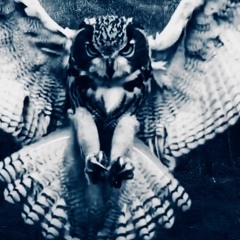 Curtains of Fields [CLIP]