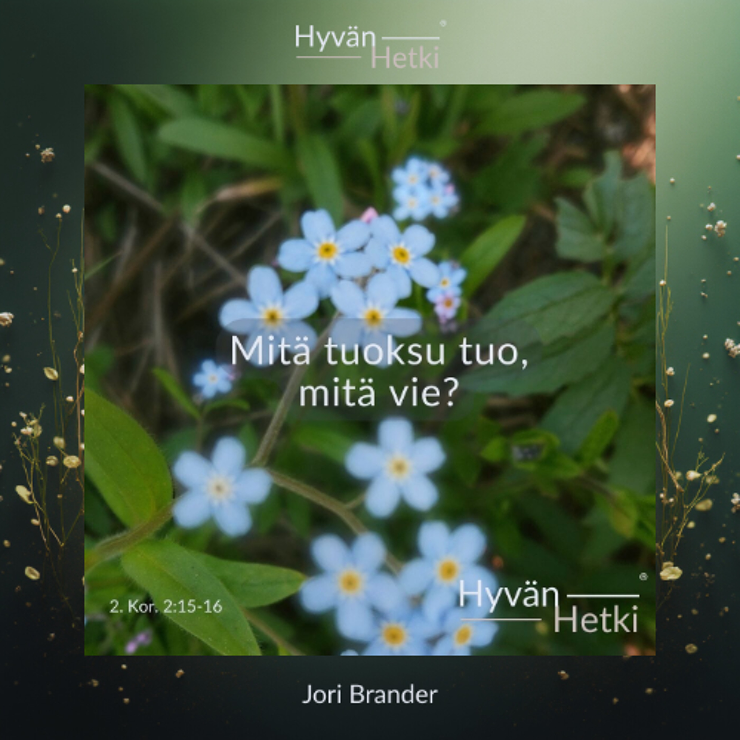 Mitä tuoksu tuo, mitä vie? (03.02.2026)