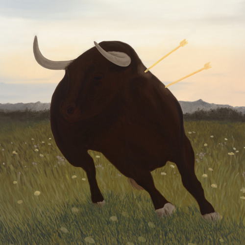 The Patch Where Nothing Grows