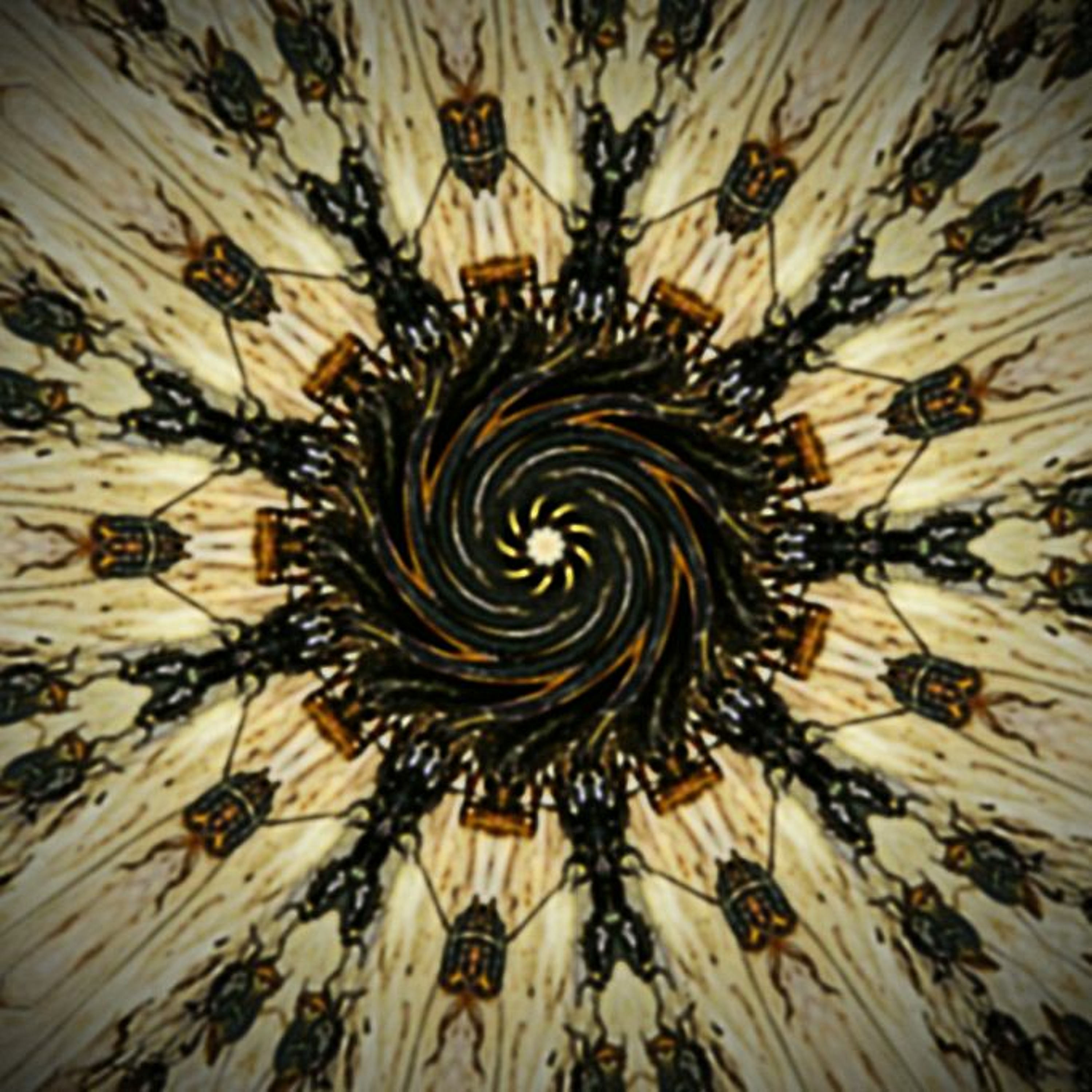 crickets by night episode artwork