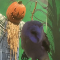 Idontneedfriends - prod.tooth.