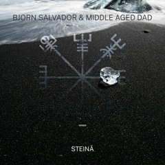 PREMIERE: Bjorn Salvador, Middle Aged Dad - Steina (Original Mix) [Nordic Voyage Recordings]