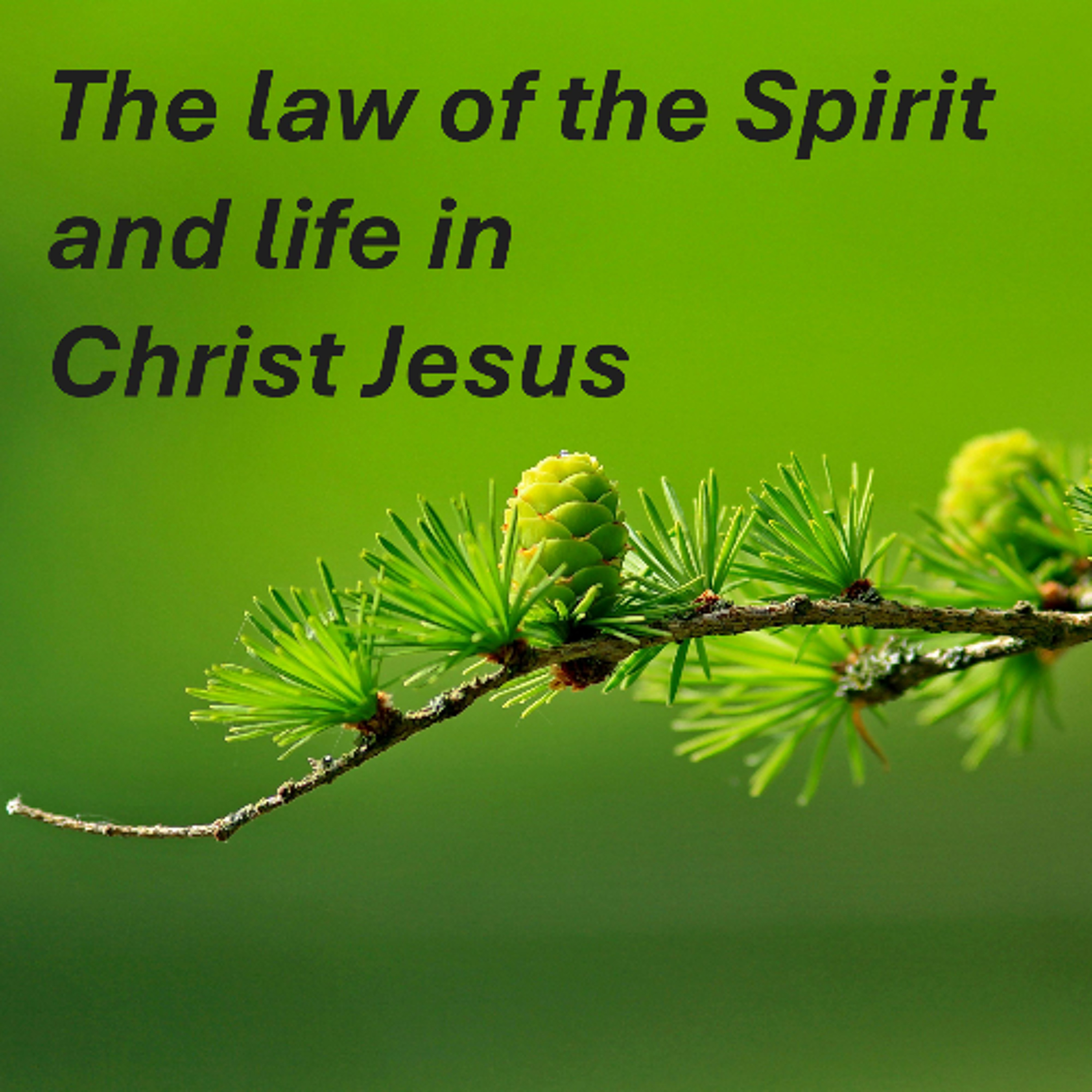 The law of the Spirit and life episode artwork