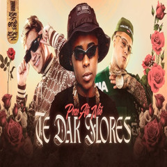 Posso Até Não Te Dar Flores