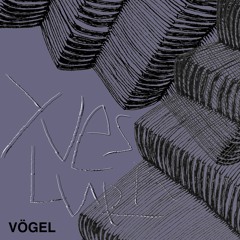 Vögel