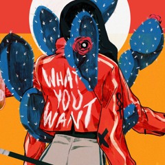 WYW (feat. Hippie Bloo & Jus'T)