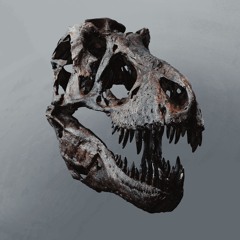 TYRANNOSAURUS WRECKS