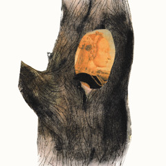 OB0589 — Natalia Panzer