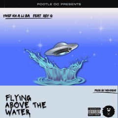 Flying above the water feat Rey_G