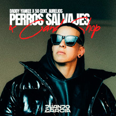 Daddy Yankee, 50 Cent, Aurelios - Perros Salvajes x Candy Shop (Juanjo Garcia Mashup)