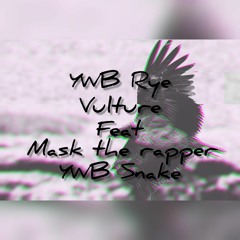Vulture Feat Mask The Rapper, YWB Snake