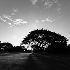 Mancera - DJ set - Funky House, House