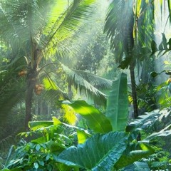 'HARD GROOVES' // 001 //