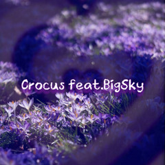 Crocus feat.BigSky