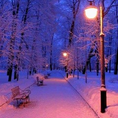 Dreaming of the Winter it Used to Be