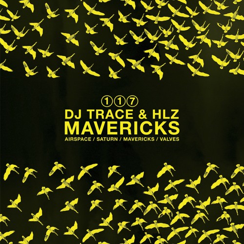 DJ Trace & HLZ - Mavericks Clip