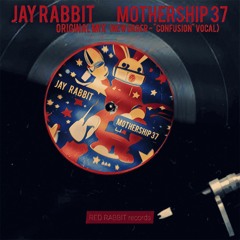 Jay Rabbit - Mothership 37 (new order -"confusion" vocal)