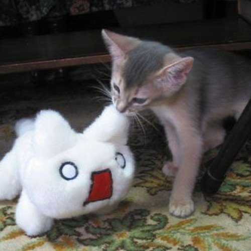 i love how you hate me