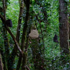 Levamentum. France, 2023.