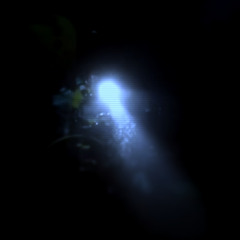 IC Fathoms