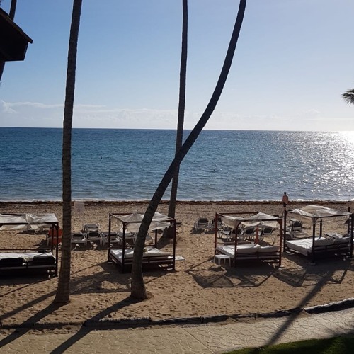 Dj Ricardo @ Creamm - Midi 28-09-08