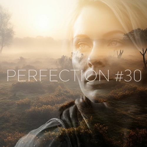 PERFECTION #30