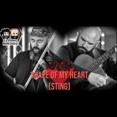 String Ninjas  - Shape Of My Heart (Sting)