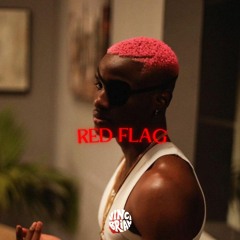 Ruger - Red Flag (Vinci Brian Refix)